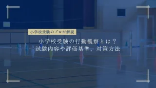 合格を手繰り寄せる　小学校受験　行動観察　12回分 合格を手繰り寄せる 小学校受験 行動観察 12回分 合格を手